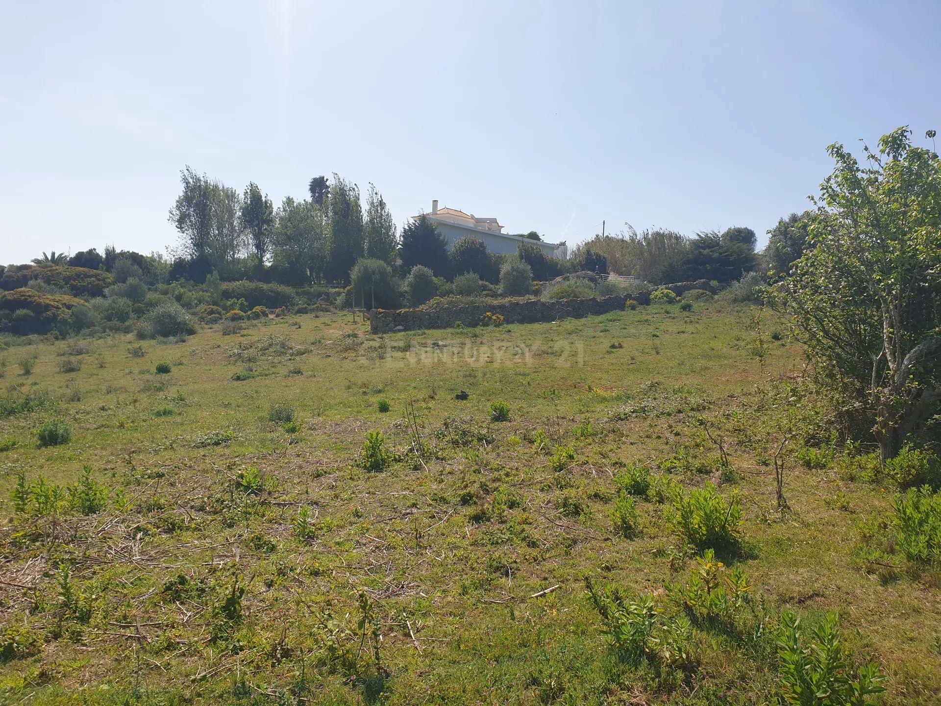 Terreno na Ericeira - Image 9